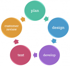 Agile Software Development